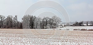 Snow Covered Tennessee Plains
