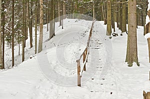 Snow-covered tourist stairs woods