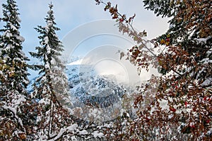 Snow covered tourist trails in slovakia tatra mountains