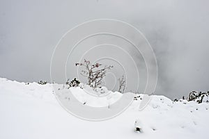 Snow covered tourist trails in slovakia tatra mountains