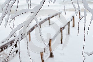 A snow-covered tree branches in front of a wooden bridge at a frozen river in winter