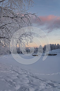 Snow-covered tree branches over frozen river and snowdrifts. A ruined bridge and trees in the distance. Polar night.