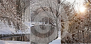 Snow-covered tree branches in sunny cold winter day. Beautiful winter landscapes in the forest, with snow and frozen river.