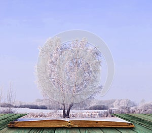 snow covered tree coming out of pages in magic book