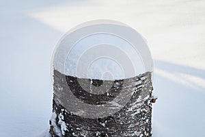 Snow covered tree stump