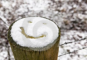 Snow covered tree stump with smiley face emoji