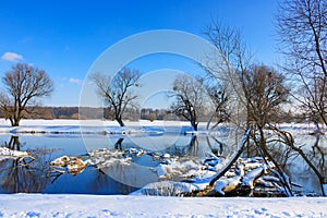 Snow-covered tree trunks lying on the surface of the winter river. Winter landscape