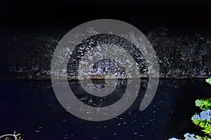 snow covered trees across the Dells of The Wisconsin River at Night