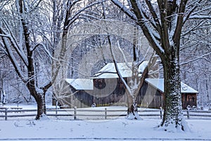 Snow Covered Trees and Barn