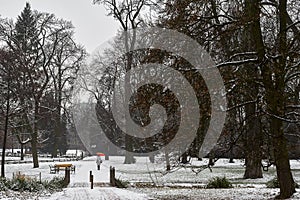 Snow-covered trees, bushes and bridge over small stream in city park in the morning.