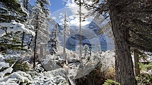 Snow-covered trees and clear lake water with mountains in  Joffre Lakes Provincial Park