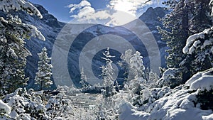 Snow-covered trees and clear lake water with mountains in  Joffre Lakes Provincial Park