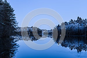 Snow-covered trees of the coasts reflected in the lake before a blue sky