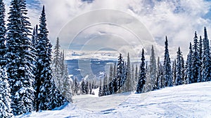 Snow covered trees and deep snow pack on a ski run in the high alpine near the village of Sun Peaks