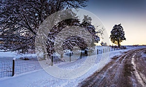 Snow covered trees and field along a dirt road in rural York County, Pennsylvania.