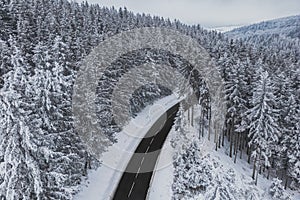 Snow-covered trees in the forest and asphalt road line in the mountains.