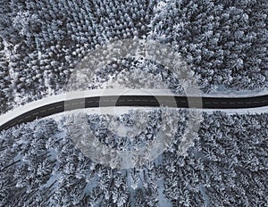 Snow-covered trees in the forest and asphalt road line in the mountains