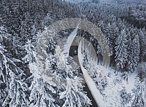 Snow-covered trees in the forest and cars on the road line in the mountains.