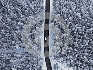 Snow-covered trees in the forest and cars on the road line in the mountains