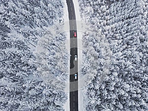 Snow-covered trees in the forest and cars on the road line in the mountains