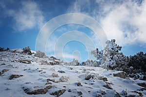 Snow-covered trees on the hillside against a blue sky with cloud