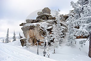 Snow-covered trees and mountain skiing on top of mountain, active winter relaxation