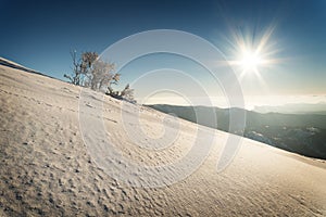 Snow-covered trees on mountain slope