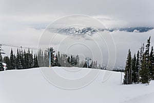 Snow covered trees on mountain top