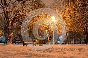 Snow-covered trees, park bench, wooden garbage bin, light post, low angle