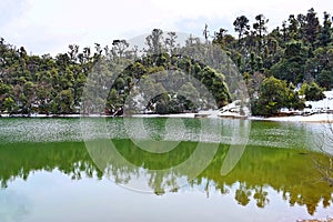 Snow Covered Trees with Reflection in Clean Water of Deoria or Deoriya Tal Lake - Winter Landscape in Himalaya, Uttarakhand, India