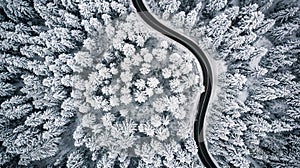 Snow covered trees and road line, aerial drone photo
