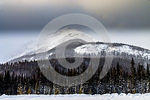 Snow covered trees and Rockies from Chester Lake. Peter Lougheed Provincial Park