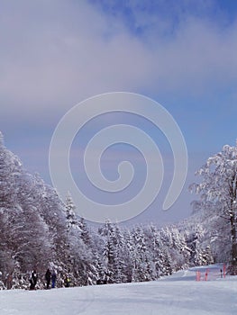 Snow covered trees in ski resort Areh Pohorje Slovenia photo