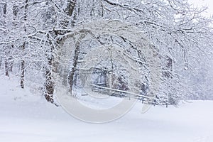 Snow covered trees and a swing during a heavy snow fall in Vanhalinna scenic area in Lieto near Turku, Finland