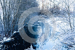 Snow covered trees and twigs on a frozen stream in winter