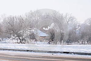 Snow covered trees in winter