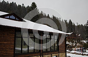 Snow covered trees in winter forest with wooden house