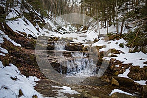 Snow covered trees in winter forest with waterfall