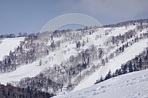 Snow covered trees on winter snow mountains. Winter snow mountain forest landscape