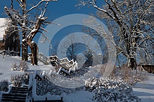 Snow-covered trees and wooden stairs, blue sky, winter contrasts