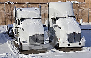 Snow Covered Trucks