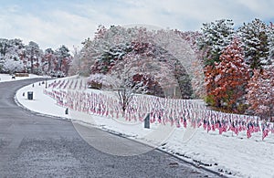 Snow-covered Veteran Cemetery