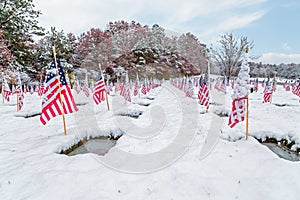 Snow-covered Veteran Cemetery with Flags