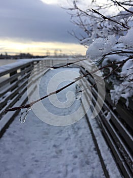 Snow covered walk, Pitt Meadow along Fraser River, British Columbia, Canada