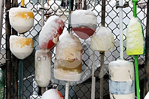 Snow covered water buoys