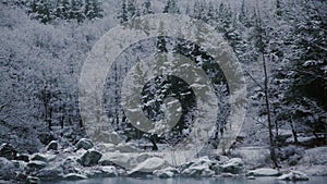 Snow covered wild trees and spruces with lake and stones