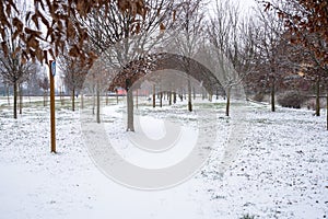 Snow Covered Winding Path in a Public Park