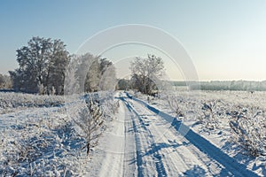 Snow covered winter field with trees and road going through to the horizon. Winter landscape.