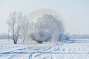Snow covered winter field with trees and road going through to the horizon. Winter landscape.