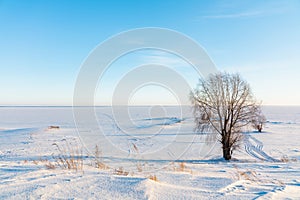 Snow covered winter field with trees. Winter landscape. Beautiful winter nature. Frozen water reservoir